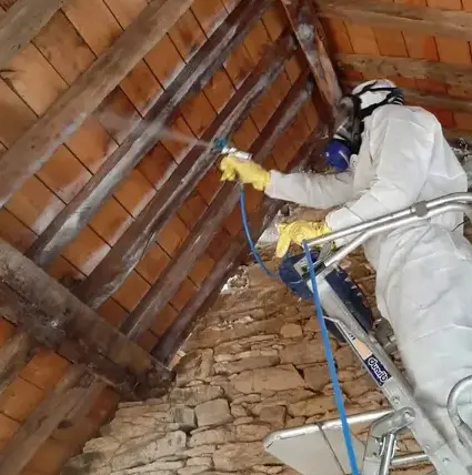 démoussage toiture Cesson-sévigné-1