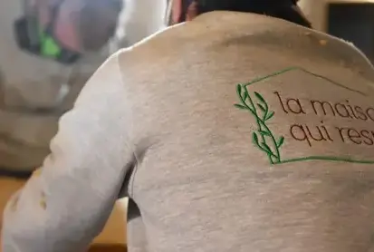 démoussage toiture à Cesson-sévigné - image 3