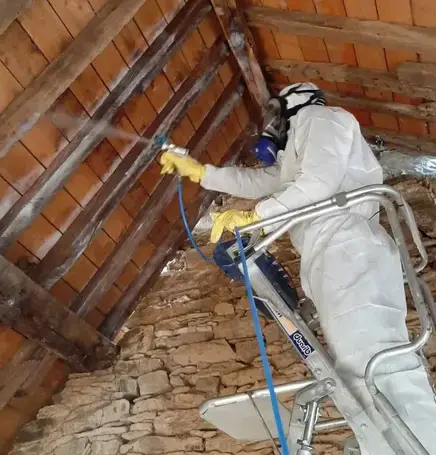 démoussage toiture Chantepie-5