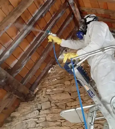 démoussage toiture Le rheu-1