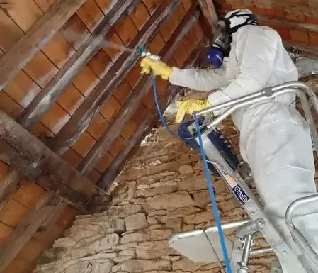 démoussage toiture à Pacé - image 3