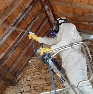 démoussage toiture à Rennes - image 2