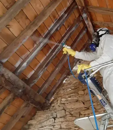 démoussage toiture à Vern-sur-seiche - image 4