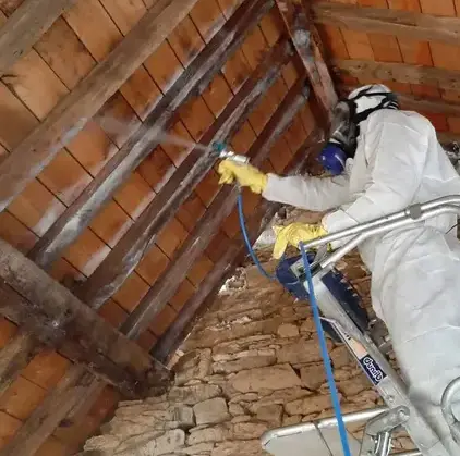 entreprise isolation Pacé-1