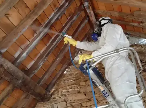 entreprise traitement charpente bois Bruz-1