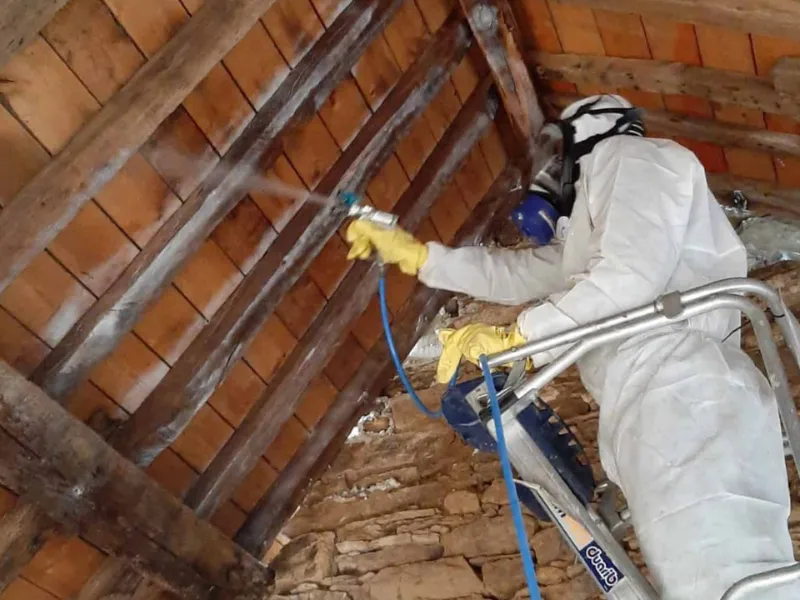 entreprise traitement charpente bois cesson sevigne