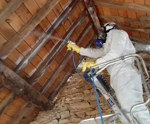 entreprise traitement charpente bois à Le rheu - image 3