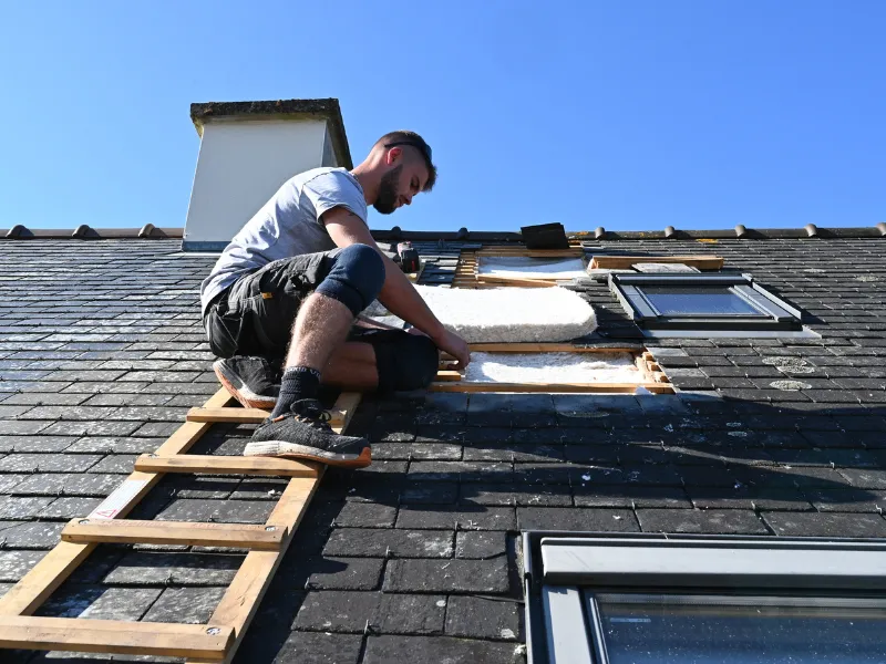 entreprise traitement charpente bois rennes