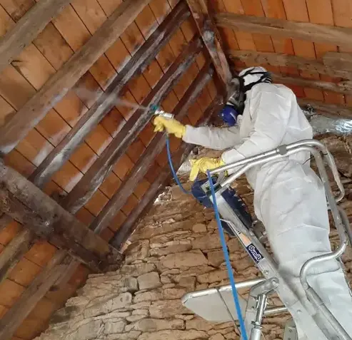 entreprise traitement charpente bois Vern-sur-seiche-1