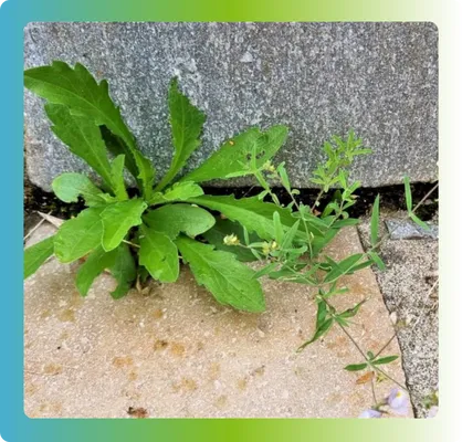 installation vmc chantepie