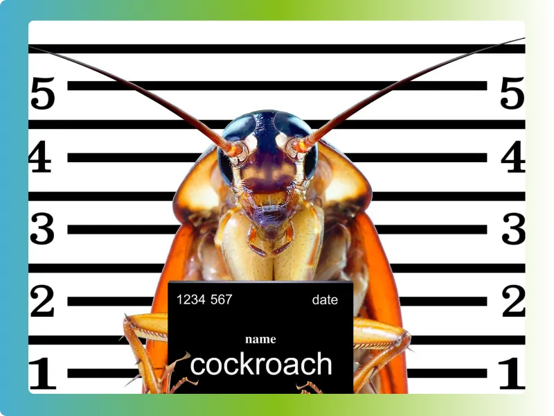 nettoyage facade betton