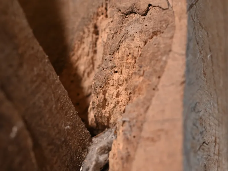 nettoyage facade betton