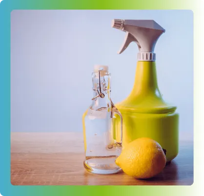 nettoyage facade le rheu