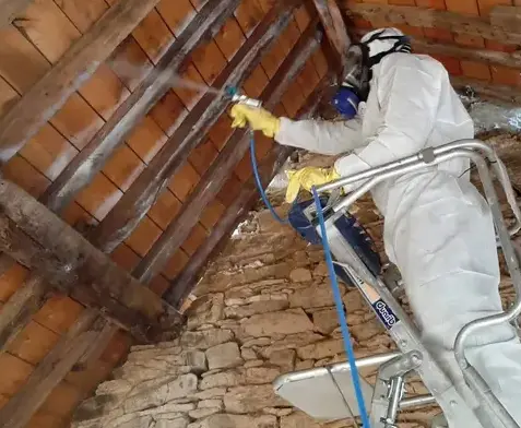 nettoyage façade à Rennes - image 4