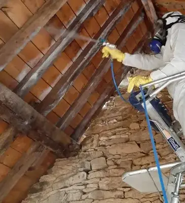 nettoyage toiture Bruz-5