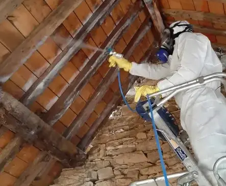 nettoyage toiture Cesson-sévigné-1