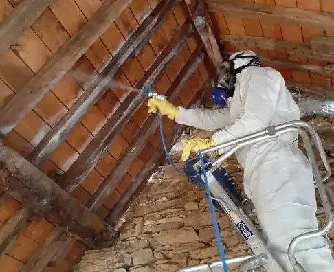 nettoyage toiture Rennes-1